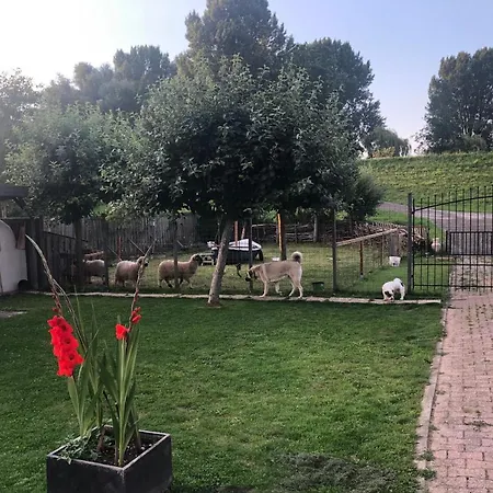 Bed & Breakfast De Oude Schuur *