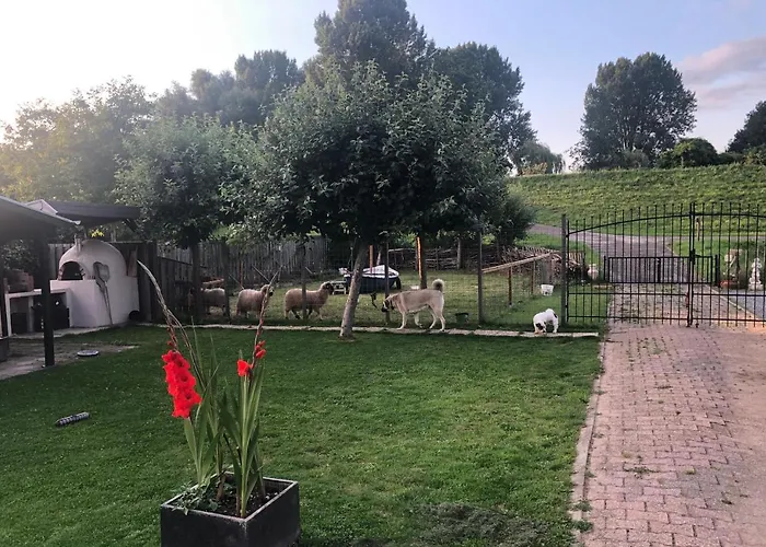 Bed & Breakfast De Oude Schuur 3*